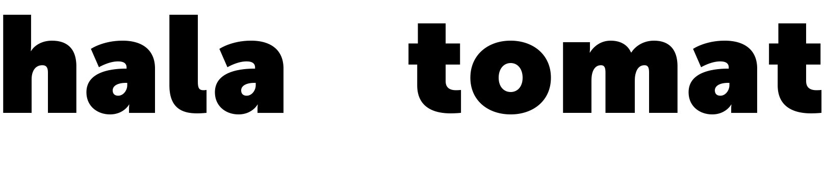 Hala + Tomat: Angelika Hala and Anuschka Tomat