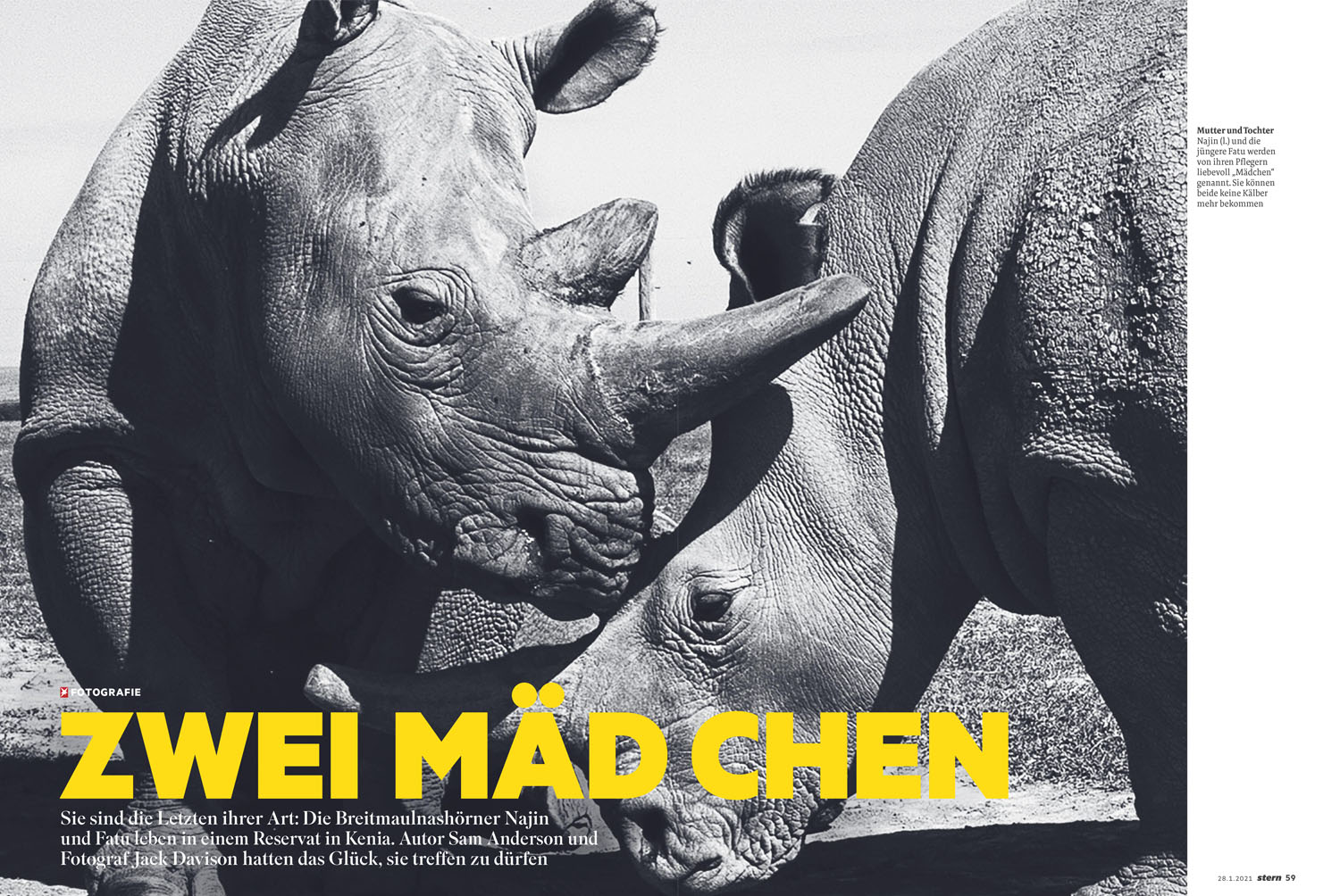 Stern: Zwei Mädchen (PDF opens in new tab)
